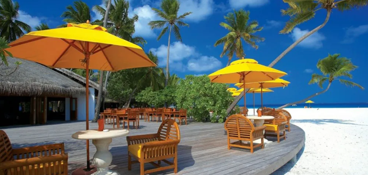 How to Know the Best Parasol Umbrellas