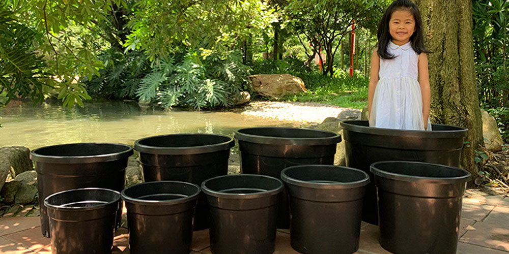 What are gallon nursery Pots, Uses, and Features of 15 Gallon Nursery Pots